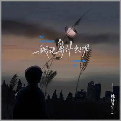 我又算什么呢(伴奏)封面