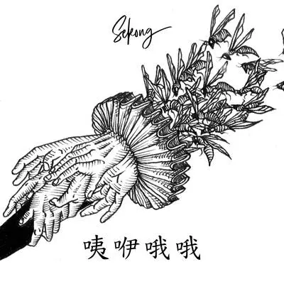 即兴曲 - Sekong封面