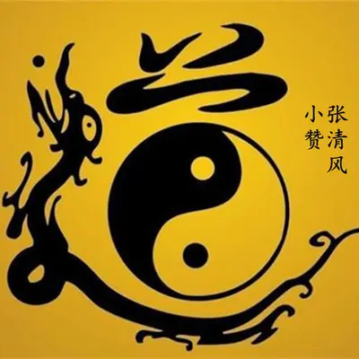 小赞(乐器版) - 张清风封面
