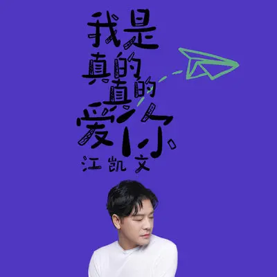 我是真的真的爱你(完整版)封面