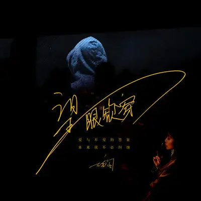 望眼欲穿封面