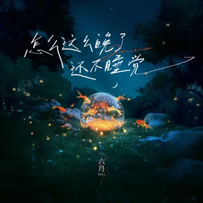 怎么这么晚了还不睡觉(伴奏) - 六月 / 听潮阁封面