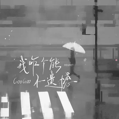 我咋个能不遗憾封面