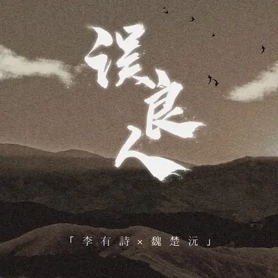 误良人（DJ沈念版）(伴奏)封面