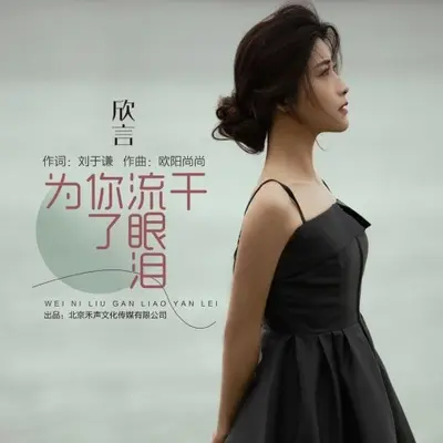 为你流干了眼泪 (DJ沈念)封面