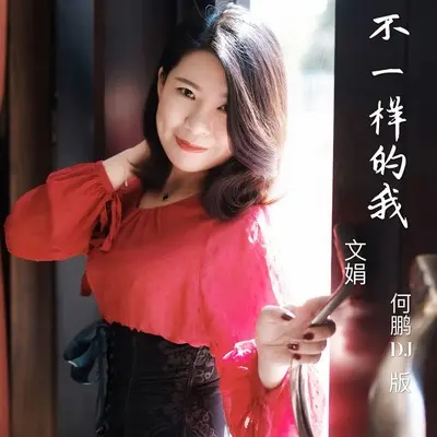 不一样的我 (DJ何鹏版伴奏)封面