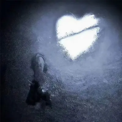 for him.封面