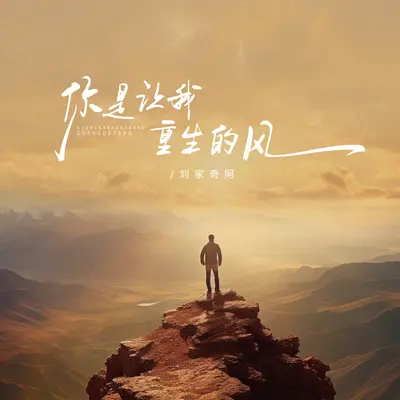 你是让我重生的风 (哪咤版)封面