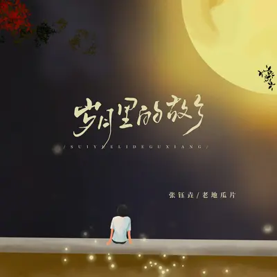 岁月里的故乡(伴奏)封面