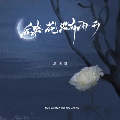 后来花没有再开(伴奏)封面