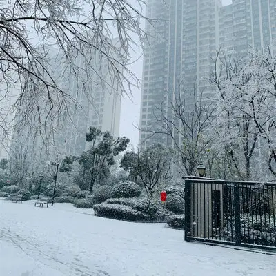 雪像重逢像遗憾像爱而不得封面