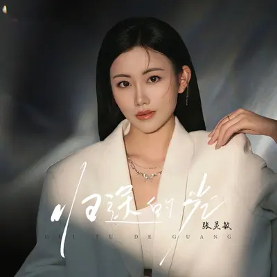 归途的光 - 张灵敏封面