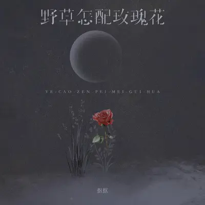 野草怎配玫瑰花(伴奏)封面