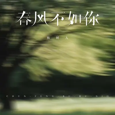 春风不如你封面