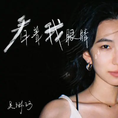 看着我眼睛封面