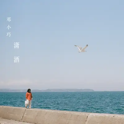 潇洒封面
