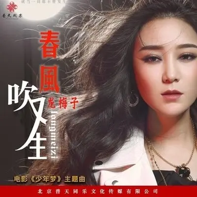 春风吹又生封面
