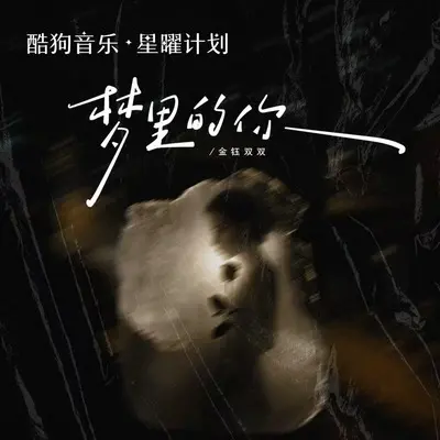 梦里的你（梦里的梦梦里的你）封面