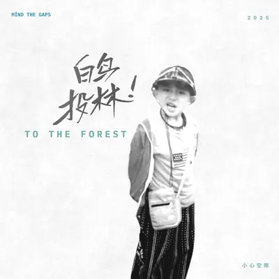 与夜晚无关的夜晚 - 小心空隙(Mind The Gaps)封面
