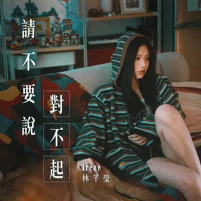 请不要说对不起封面