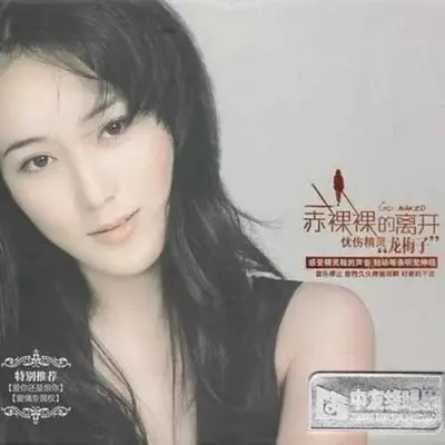 你把爱情给了谁 有没有后悔（DJ沈念版） - 龙梅子封面