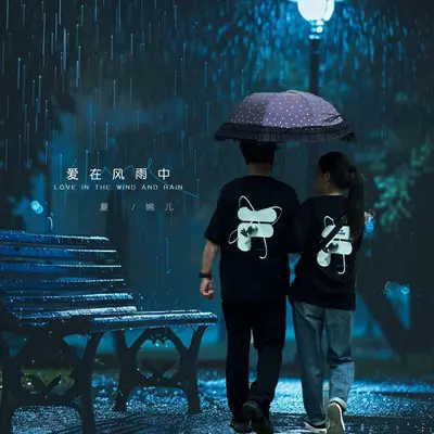 爱在风雨中封面