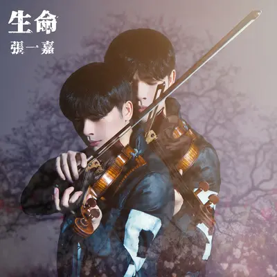 不朽 - 张一嘉封面