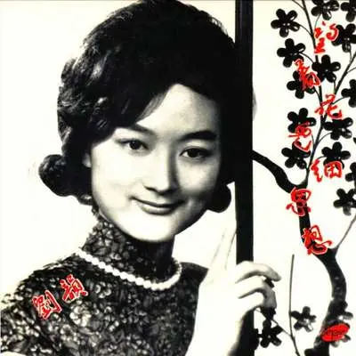 一条桥封面