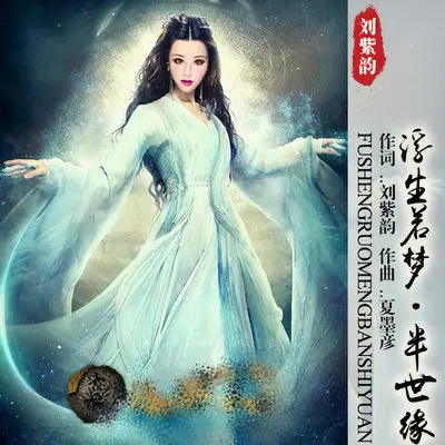 浮生若梦半世缘封面