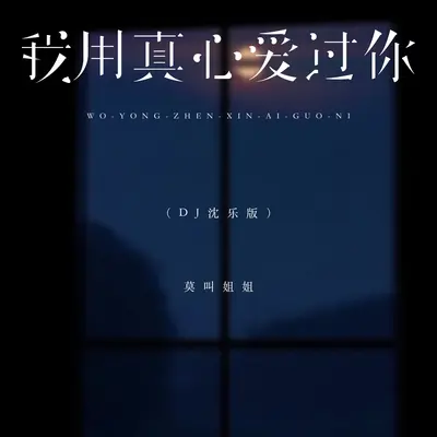 我用真心爱过你(DJ沈乐版)封面
