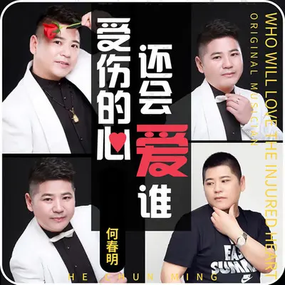 受伤的心还会爱谁封面