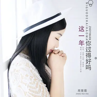 这一年你过得好吗封面