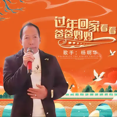 过年回家看看爸爸妈妈封面