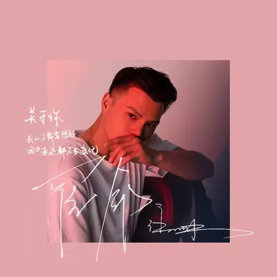 宿命（DJ阳少版）封面