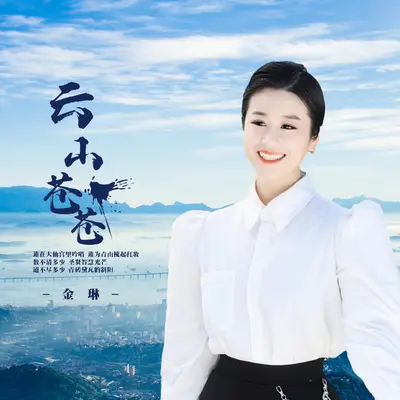 云山苍苍封面