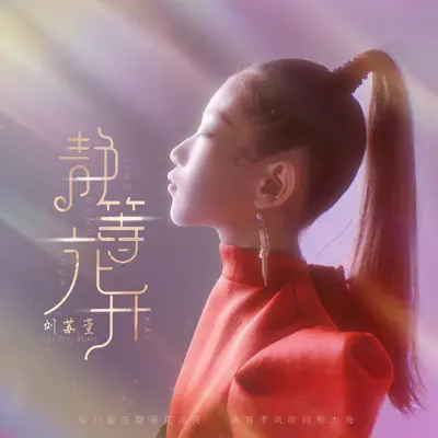 静等花开封面