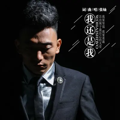 追逐的梦封面