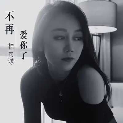 不再爱你了封面
