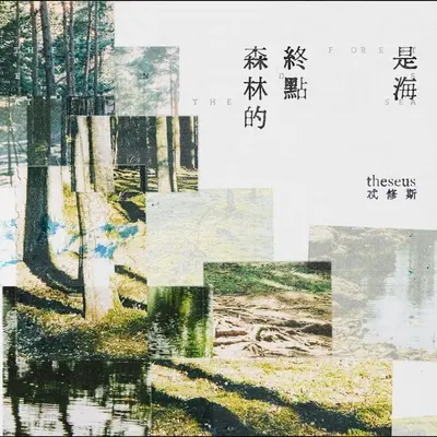 愿你懂得封面