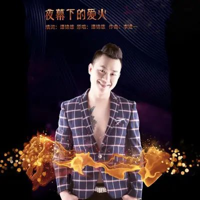 夜幕下的爱火封面