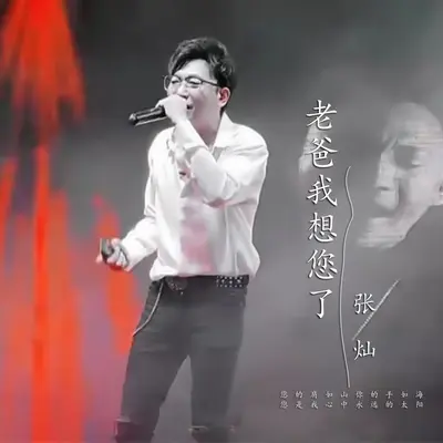 老爸我想您了封面