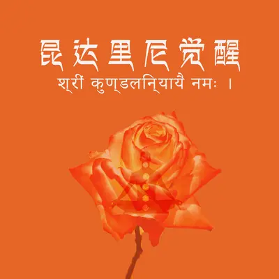 昆达里尼觉醒 - 凯莉凯封面