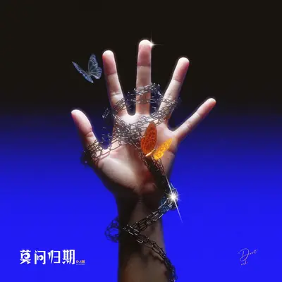 莫问归期(DJ版) - 万能公式封面