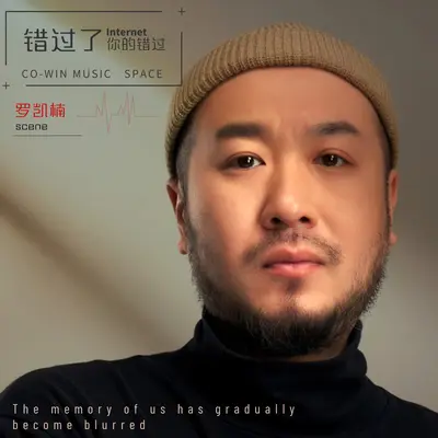 错过了你的错过 - 罗凯楠 / 共维音乐封面