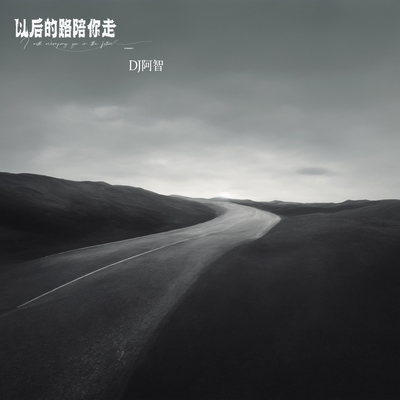 以后的路陪你走（DJ阿智版）封面
