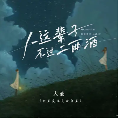 人这辈子不过二两酒(如果爱注定没结果)封面