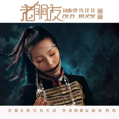 老朋友封面