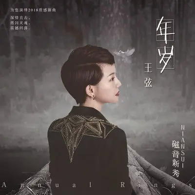 年岁 - 王弦封面