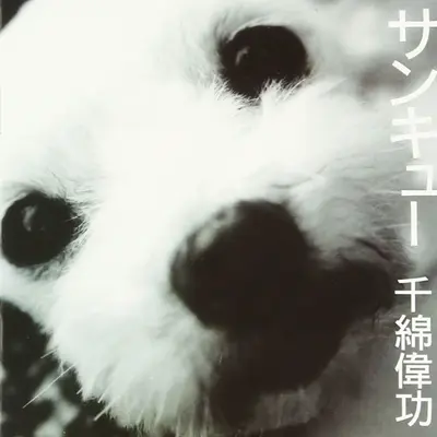 Beginning封面