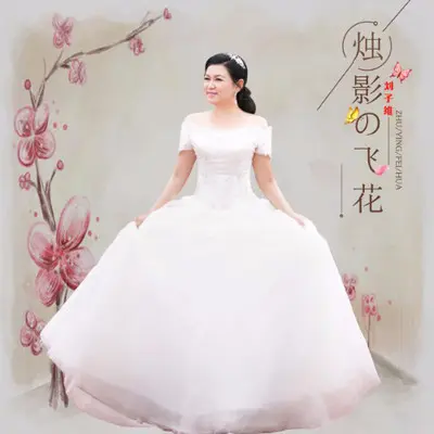 烛影飞花（二胡版） - 刘子维封面